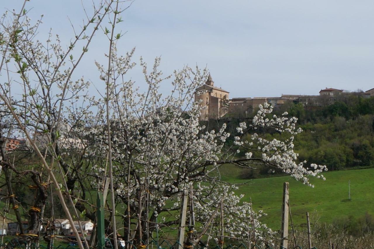 Casa Di Tony *
